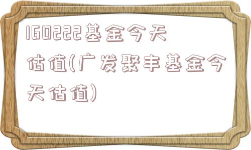 160222基金今天估值(广发聚丰基金今天估值)