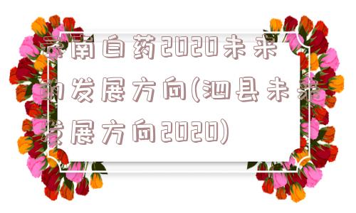 云南白药2020未来的发展方向(泗县未来发展方向2020)