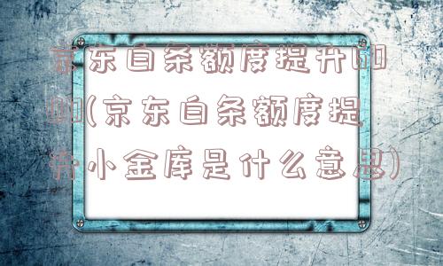 京东白条额度提升6000(京东白条额度提升小金库是什么意思)