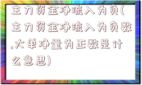 主力资金净流入为负(主力资金净流入为负数,大单净量为正数是什么意思)