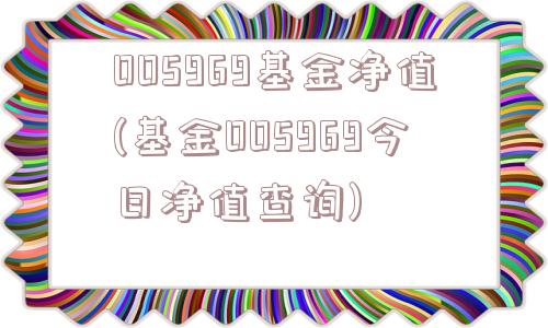 005969基金净值(基金005969今日净值查询)