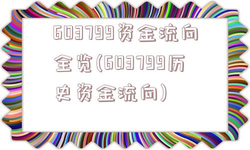 603799资金流向全览(603799历史资金流向)