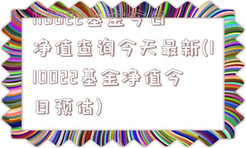 110022基金今日净值查询今天最新(110022基金净值今日预估)