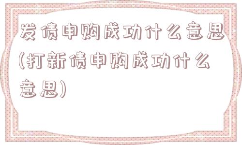 发债申购成功什么意思(打新债申购成功什么意思)