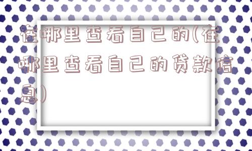 在哪里查看自己的(在哪里查看自己的贷款信息)