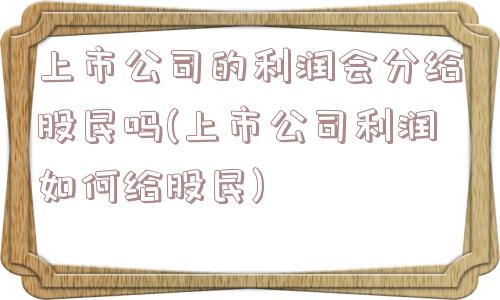 上市公司的利润会分给股民吗(上市公司利润如何给股民)