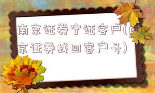 南京证券宁证客户(南京证券找回客户号)