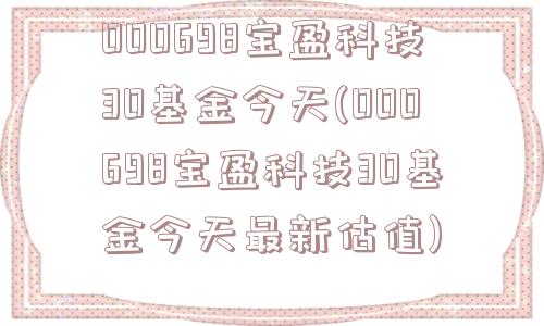 000698宝盈科技30基金今天(000698宝盈科技30基金今天最新估值)