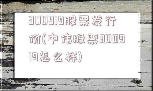 300919股票发行价(中伟股票300919怎么样)