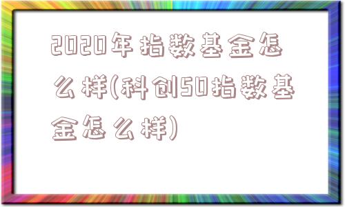 2020年指数基金怎么样(科创50指数基金怎么样)