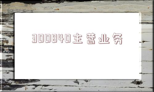 300840主营业务