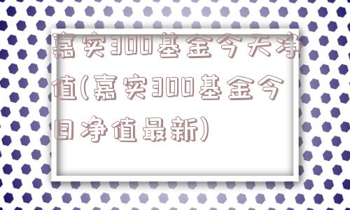 嘉实300基金今天净值(嘉实300基金今日净值最新)