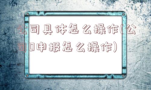 公司具体怎么操作(公司0申报怎么操作)