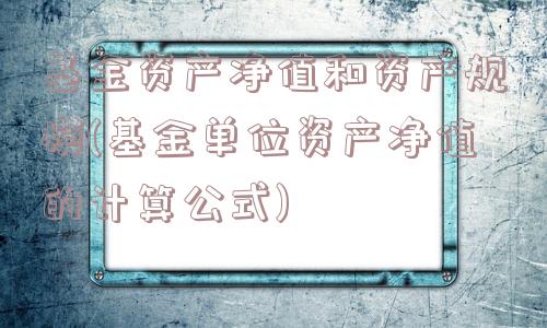 基金资产净值和资产规模(基金单位资产净值的计算公式)