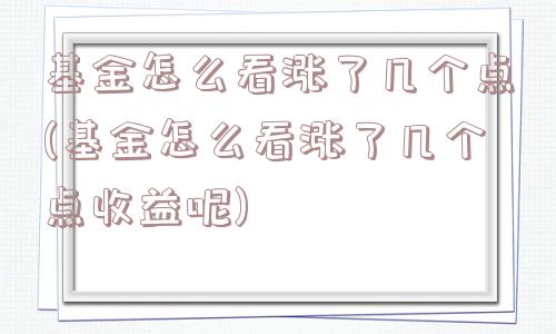 基金怎么看涨了几个点(基金怎么看涨了几个点收益呢)