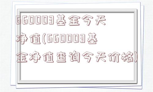 660003基金今天净值(660003基金净值查询今天价格)