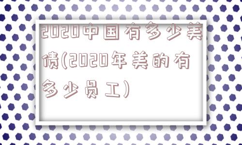 2020中国有多少美债(2020年美的有多少员工)