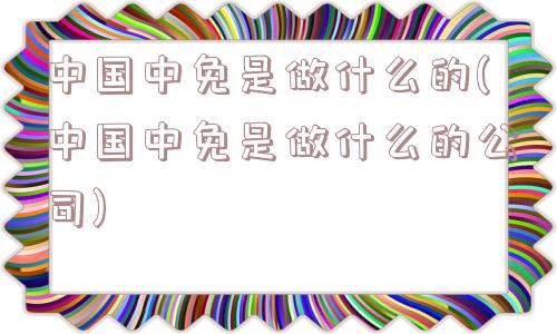 中国中免是做什么的(中国中免是做什么的公司)