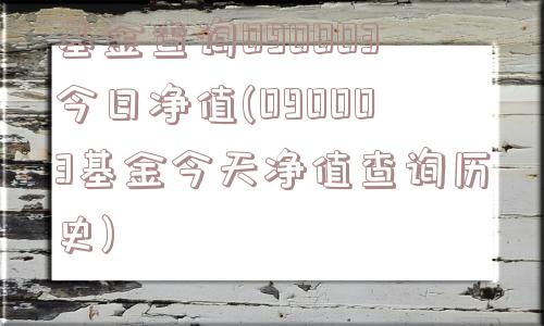 基金查询090003今日净值(090003基金今天净值查询历史)