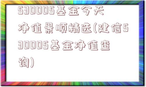 530005基金今天净值景顺精选(建信530005基金净值查询)