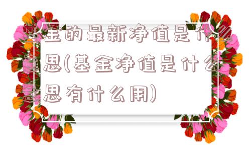 基金的最新净值是什么意思(基金净值是什么意思有什么用)