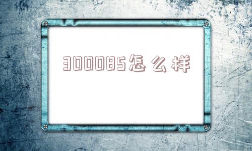 300085怎么样