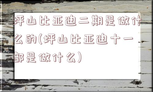 坪山比亚迪二期是做什么的(坪山比亚迪十一部是做什么)