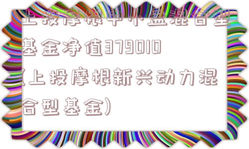 上投摩根中小盘混合型基金净值379010(上投摩根新兴动力混合型基金)