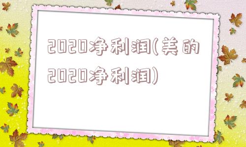 2020净利润(美的2020净利润)