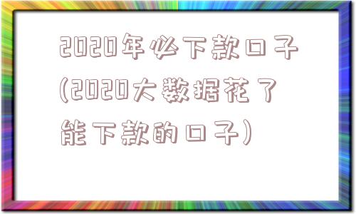 2020年必下款口子(2020大数据花了能下款的口子)