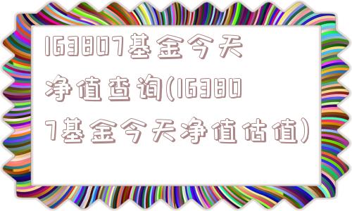 163807基金今天净值查询(163807基金今天净值估值)