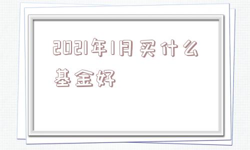 2021年1月买什么基金好