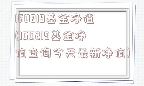 160219基金净值(160219基金净值查询今天最新净值)