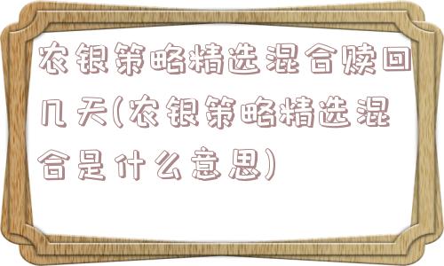 农银策略精选混合赎回几天(农银策略精选混合是什么意思)