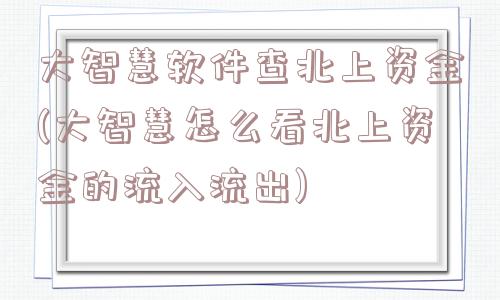 大智慧软件查北上资金(大智慧怎么看北上资金的流入流出)