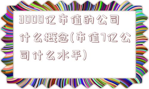 3000亿市值的公司什么概念(市值7亿公司什么水平)