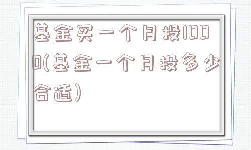 基金买一个月投1000(基金一个月投多少合适)