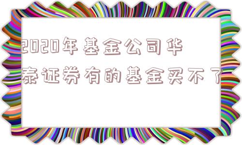 2020年基金公司华泰证券有的基金买不了