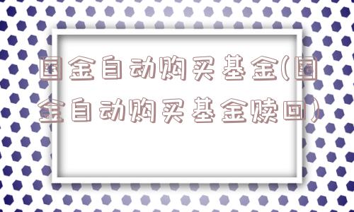 国金自动购买基金(国金自动购买基金赎回)