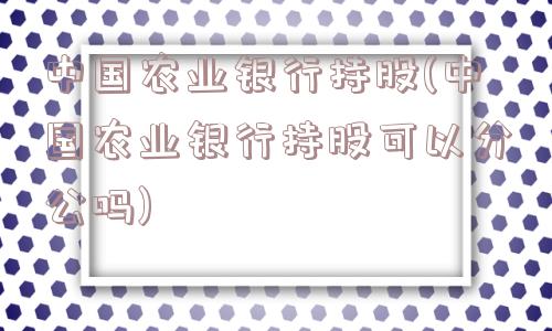 中国农业银行持股(中国农业银行持股可以分公吗)