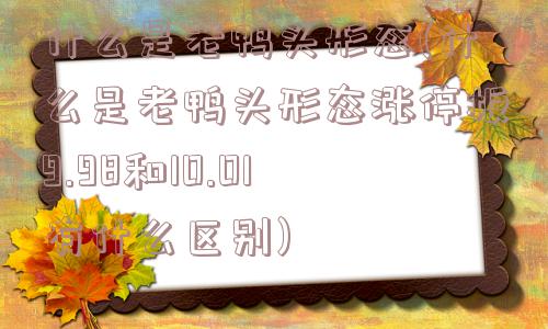 什么是老鸭头形态(什么是老鸭头形态涨停板9.98和10.01有什么区别)