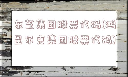 东芝集团股票代码(鸿星尔克集团股票代码)