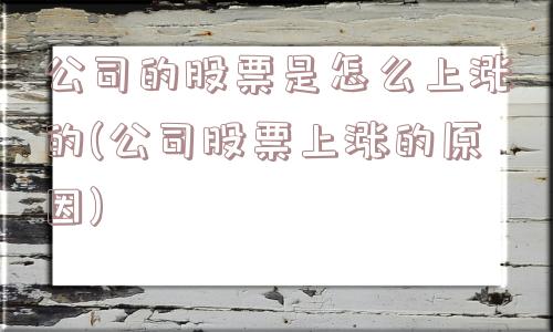 公司的股票是怎么上涨的(公司股票上涨的原因)