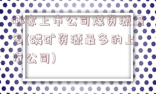 哪家上市公司煤资源最多(磷矿资源最多的上市公司)