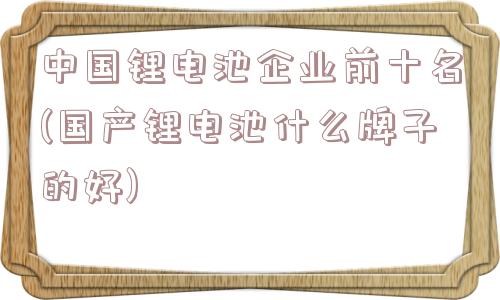 中国锂电池企业前十名(国产锂电池什么牌子的好)