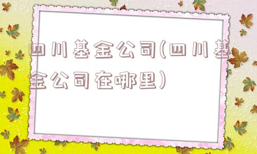 四川基金公司(四川基金公司在哪里)