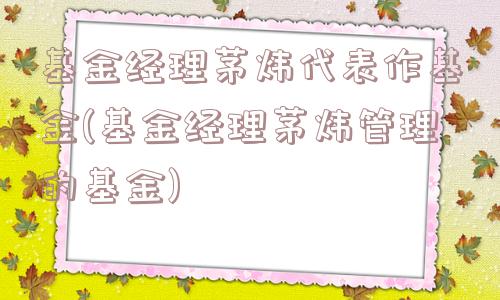 基金经理茅炜代表作基金(基金经理茅炜管理的基金)