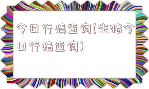 今日行情查询(生猪今日行情查询)