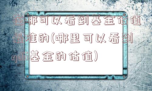 在哪可以看到基金估值最准的(哪里可以看到qdii基金的估值)