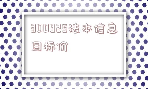 300925法本信息目标价